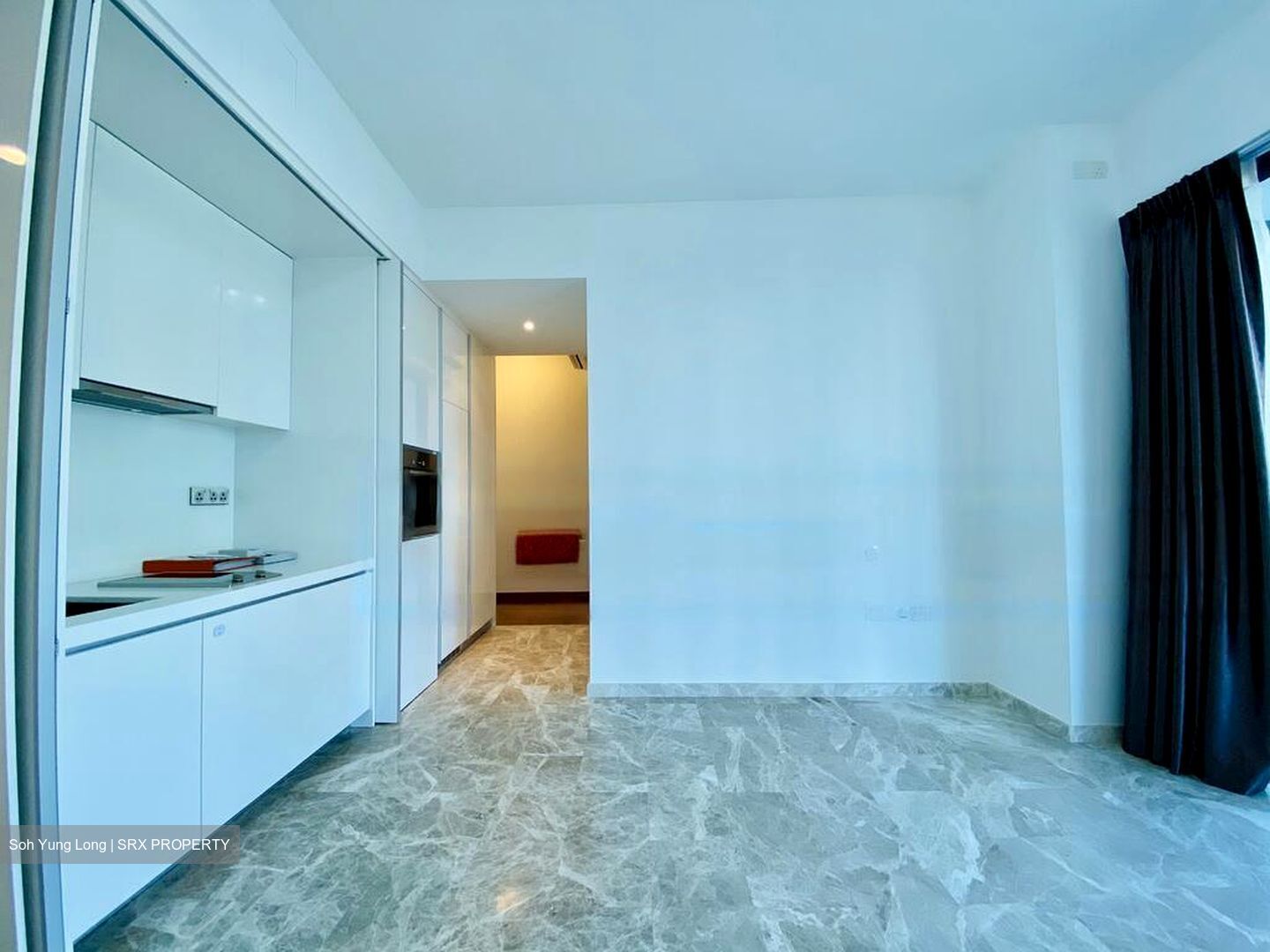L'Viv (D11), Apartment #482751901